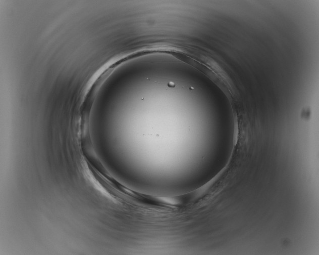 X0000115641092200911101511