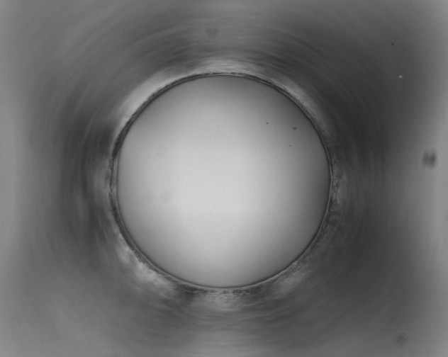 X0000115641094200911101511