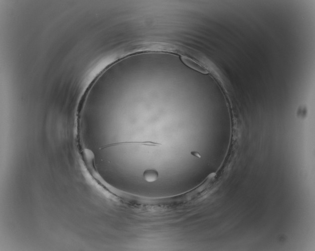 X0000115641095200911101511