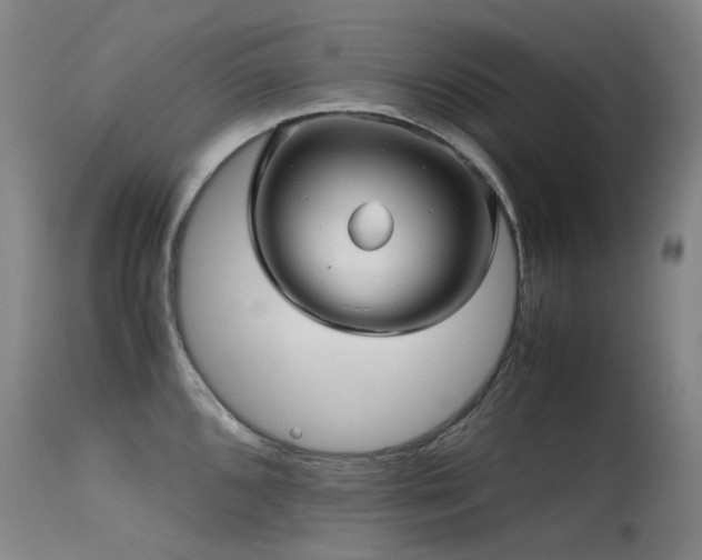 X0000115641096200911101511
