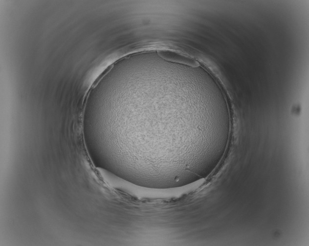 X0000115641097200911101511