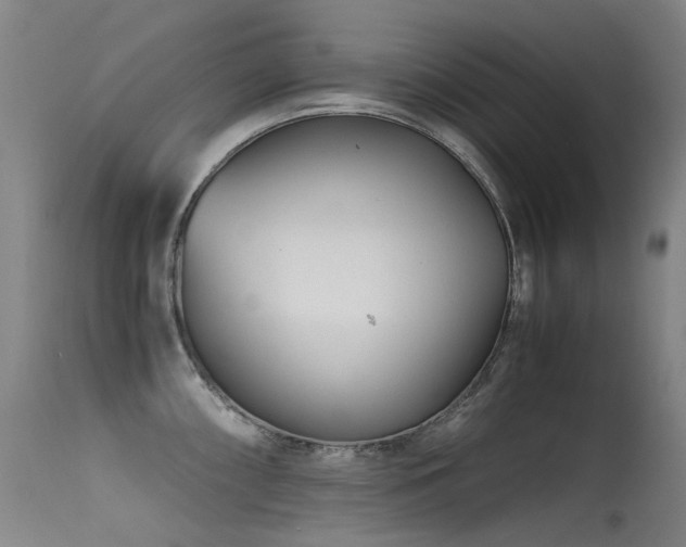 X0000115641098200911101511