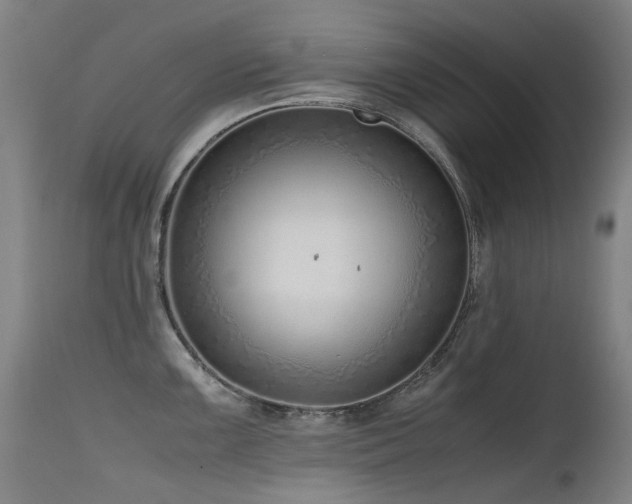 X0000115641099200911101511