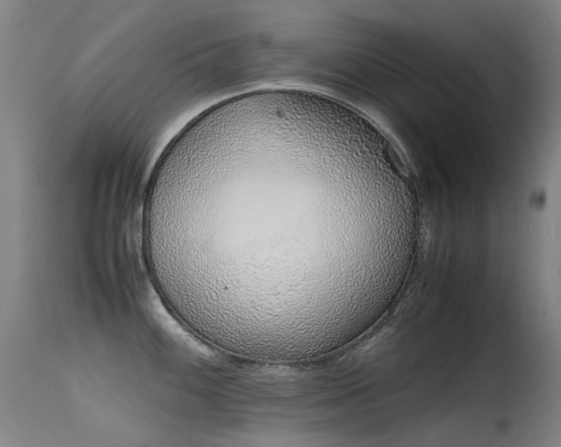 X0000115641100200911101511