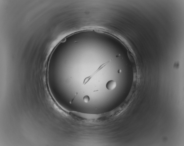 X0000115641102200911101511
