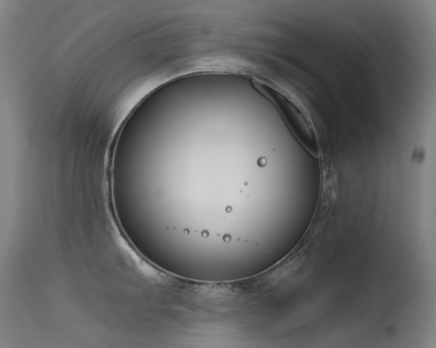 X0000115641103200911101511