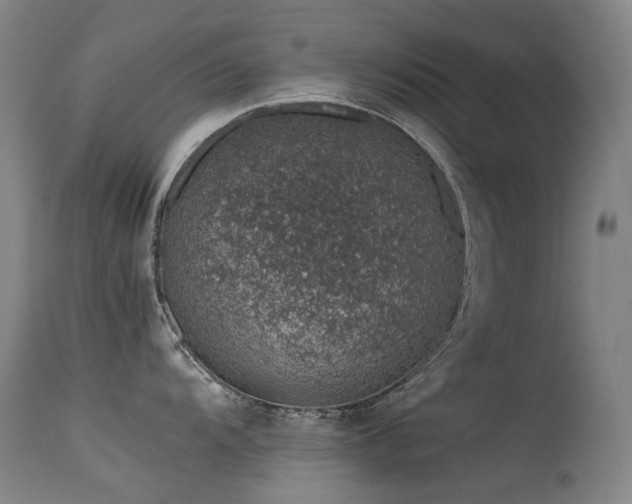 X0000115641104200911101511