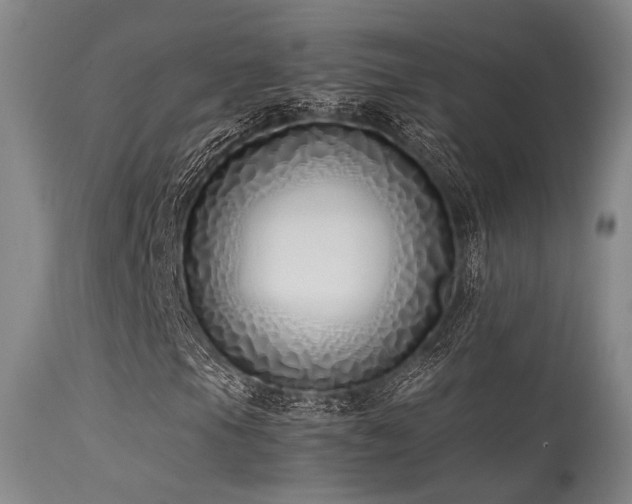 X0000115641105200911101510