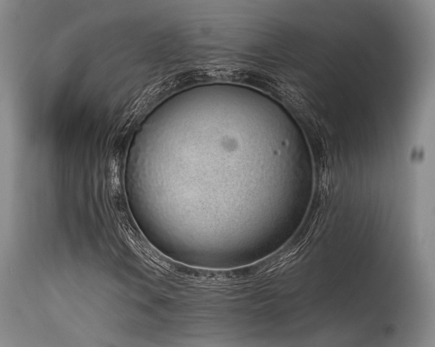 X0000115641106200911101510