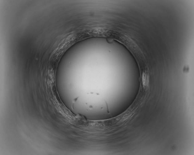 X0000115641107200911101510