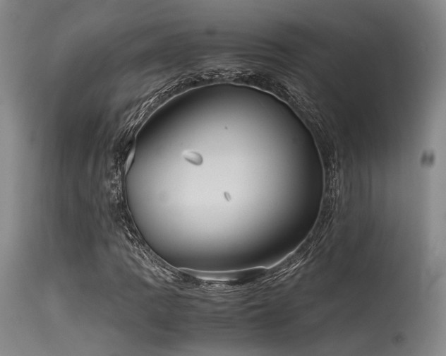 X0000115641109200911101510