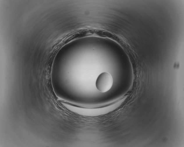 X0000115641110200911101510