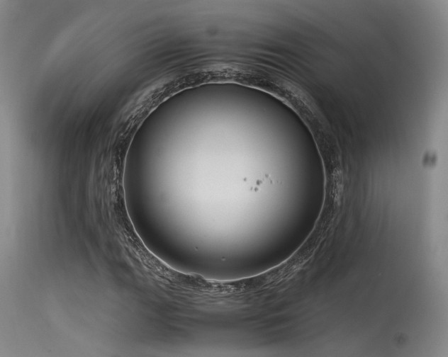 X0000115641111200911101510