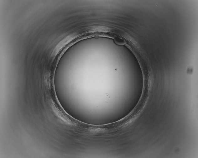 X0000115641113200911101510