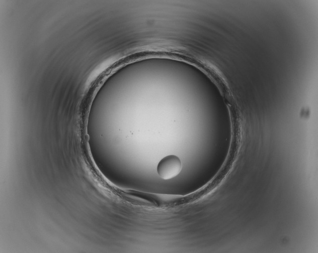 X0000115641114200911101510