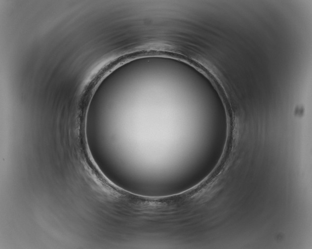 X0000115641115200911101510
