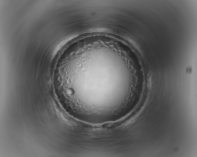 X0000115641117200911101510