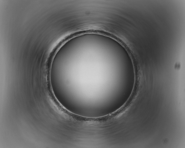 X0000115641118200911101510