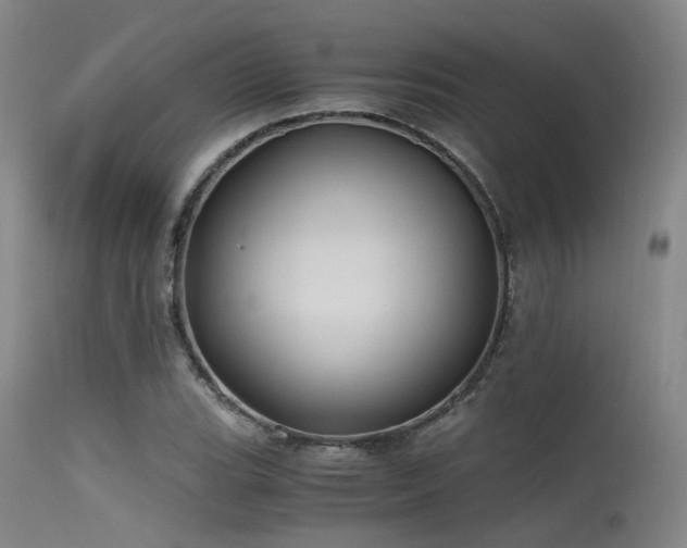 X0000115641119200911101510