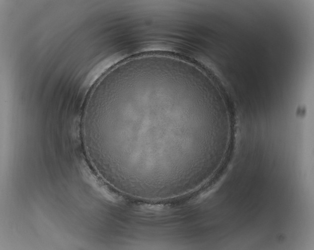 X0000115641121200911101510