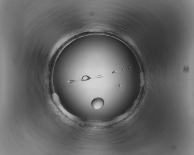 X0000115641122200911101510