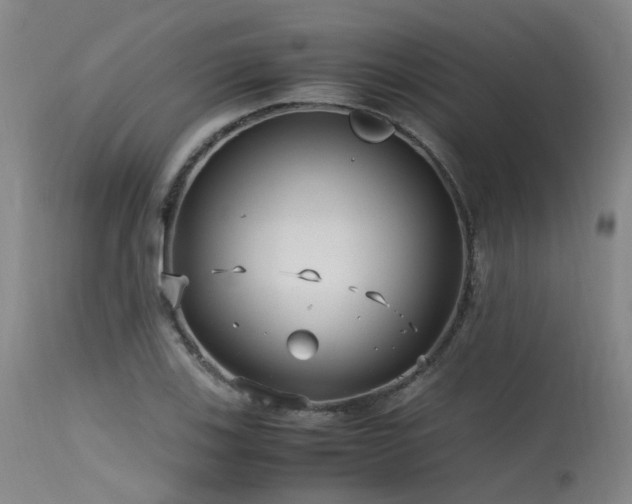 X0000115641123200911101510