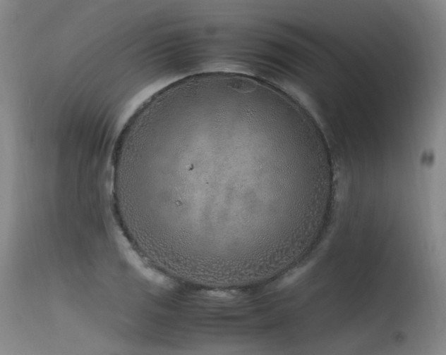 X0000115641125200911101510