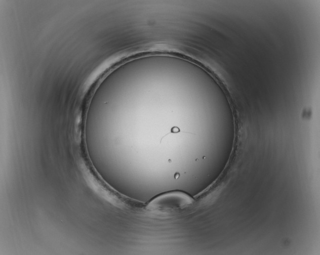 X0000115641126200911101510
