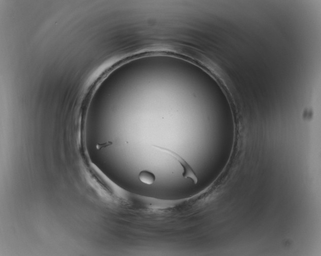 X0000115641127200911101510