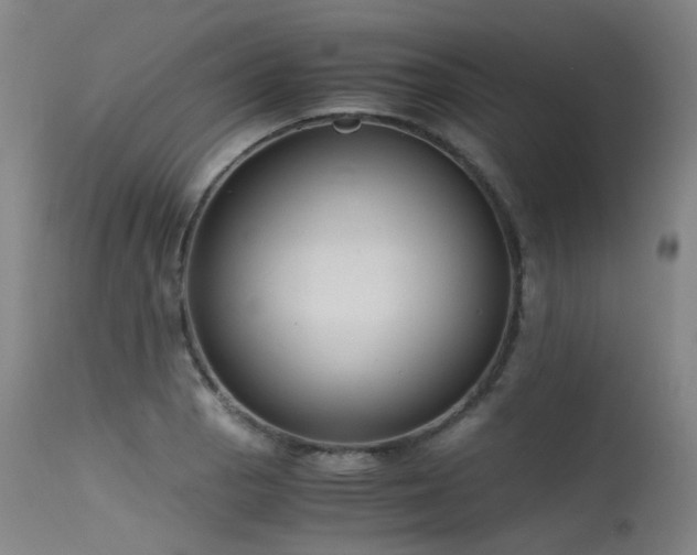 X0000115641129200911101510