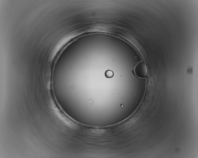 X0000115641131200911101510