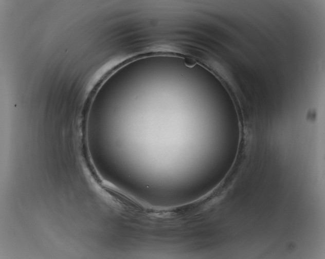 X0000115641133200911101510