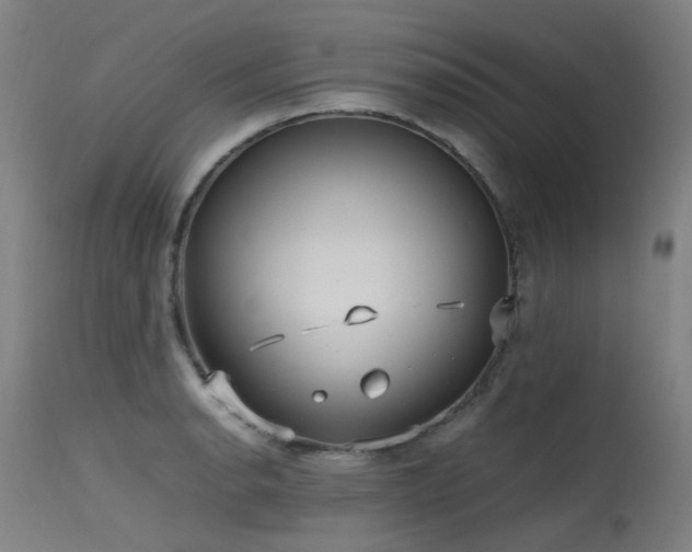 X0000115641134200911101510