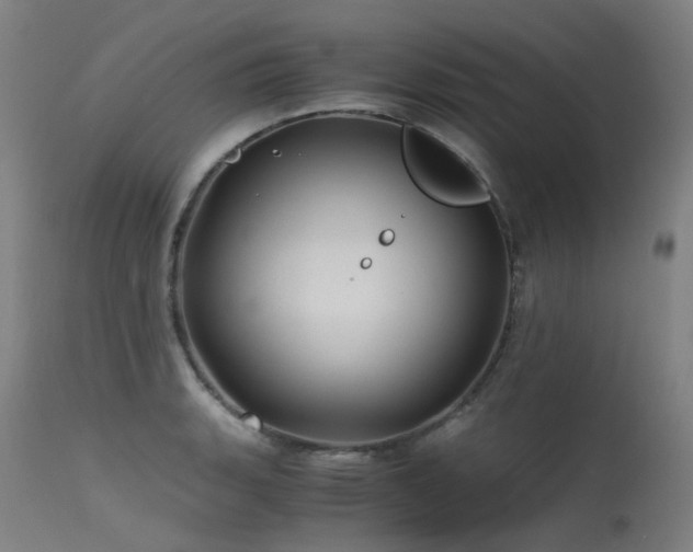 X0000115641135200911101510