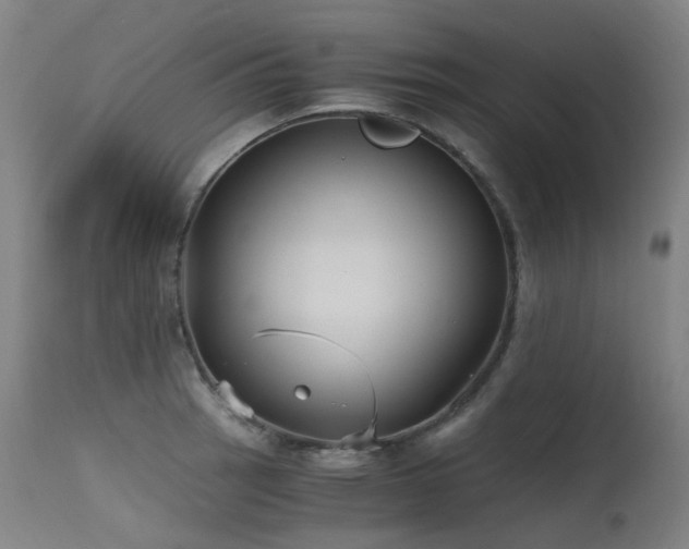X0000115641137200911101511