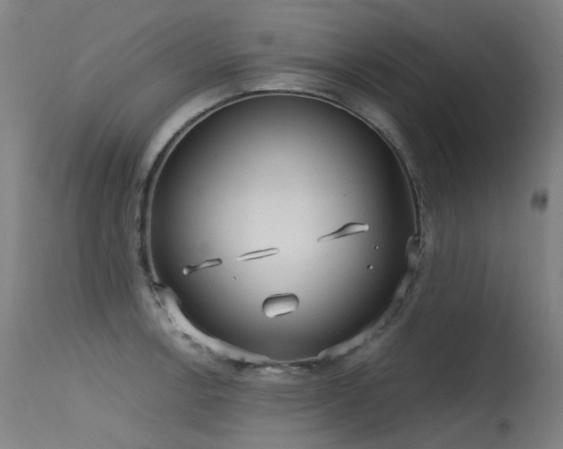 X0000115641138200911101511