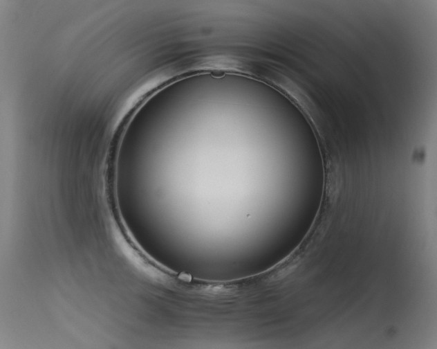 X0000115641139200911101511