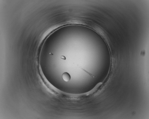 X0000115641141200911101511