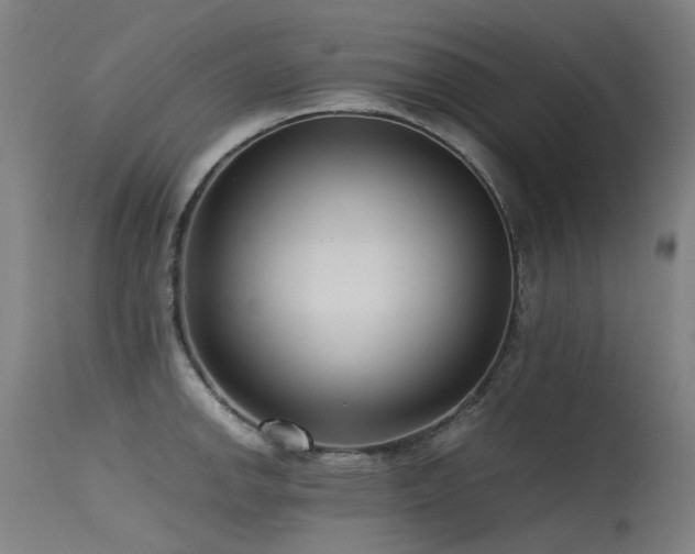 X0000115641142200911101511