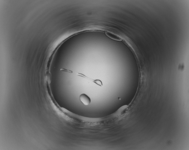 X0000115641143200911101511