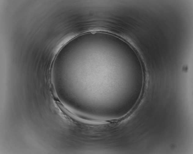 X0000115641145200911101511