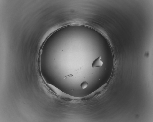 X0000115641146200911101511