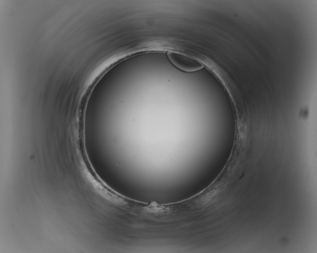 X0000115641147200911101511