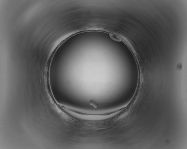 X0000115641149200911101511