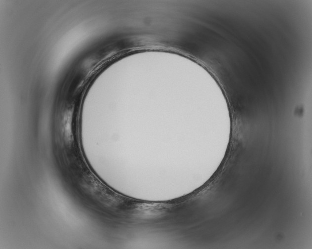 X0000115641150200911101511