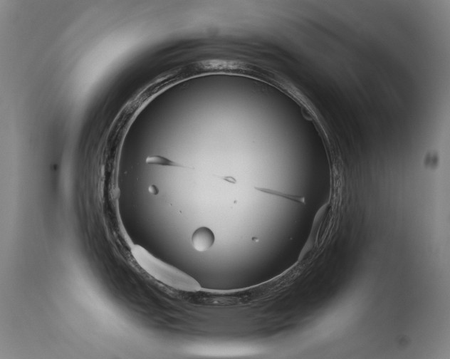 X0000115641151200911101511
