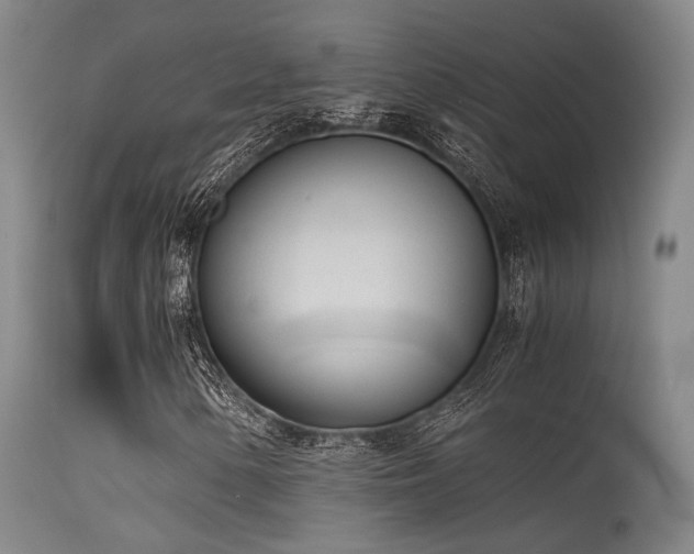 X0000115641154200911101510