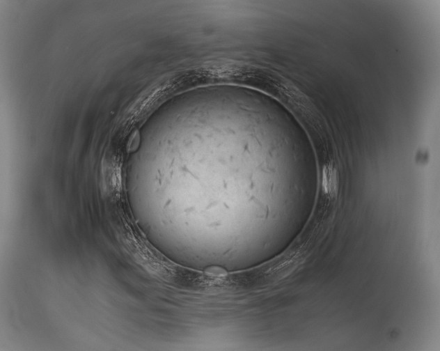 X0000115641155200911101510