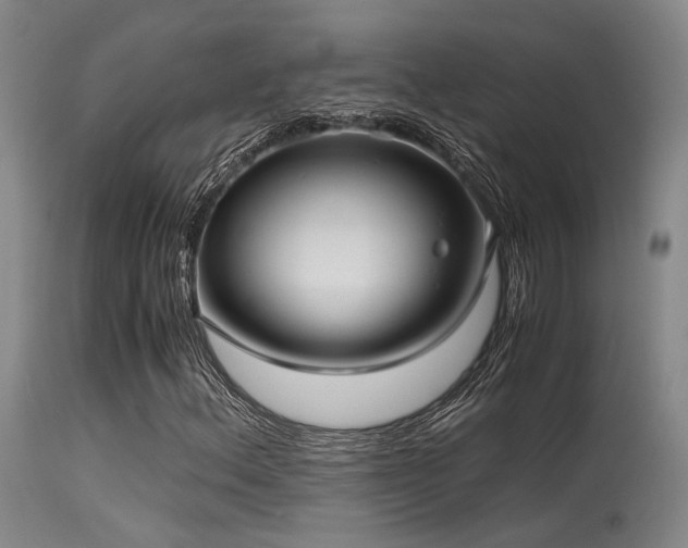 X0000115641156200911101510