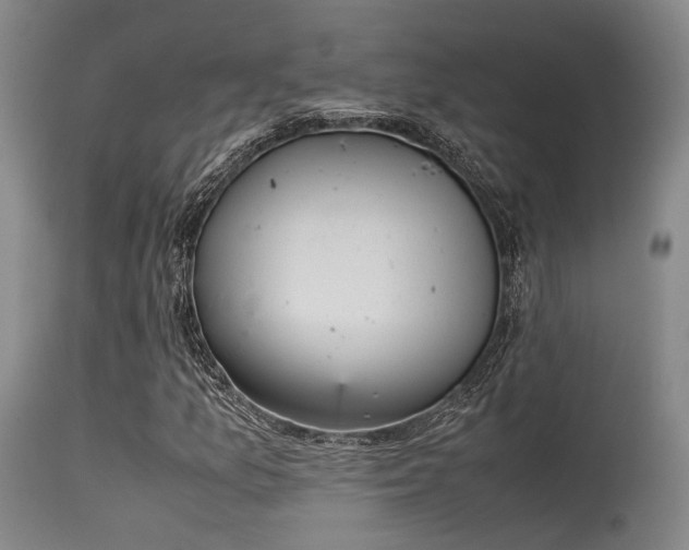 X0000115641157200911101510